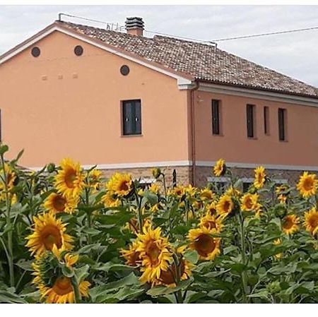 La Dolce Vita Porto Recanati Exteriör bild