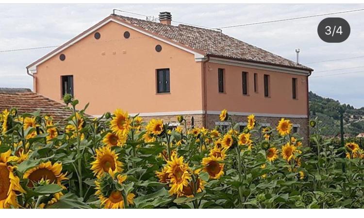 La Dolce Vita Porto Recanati Exteriör bild