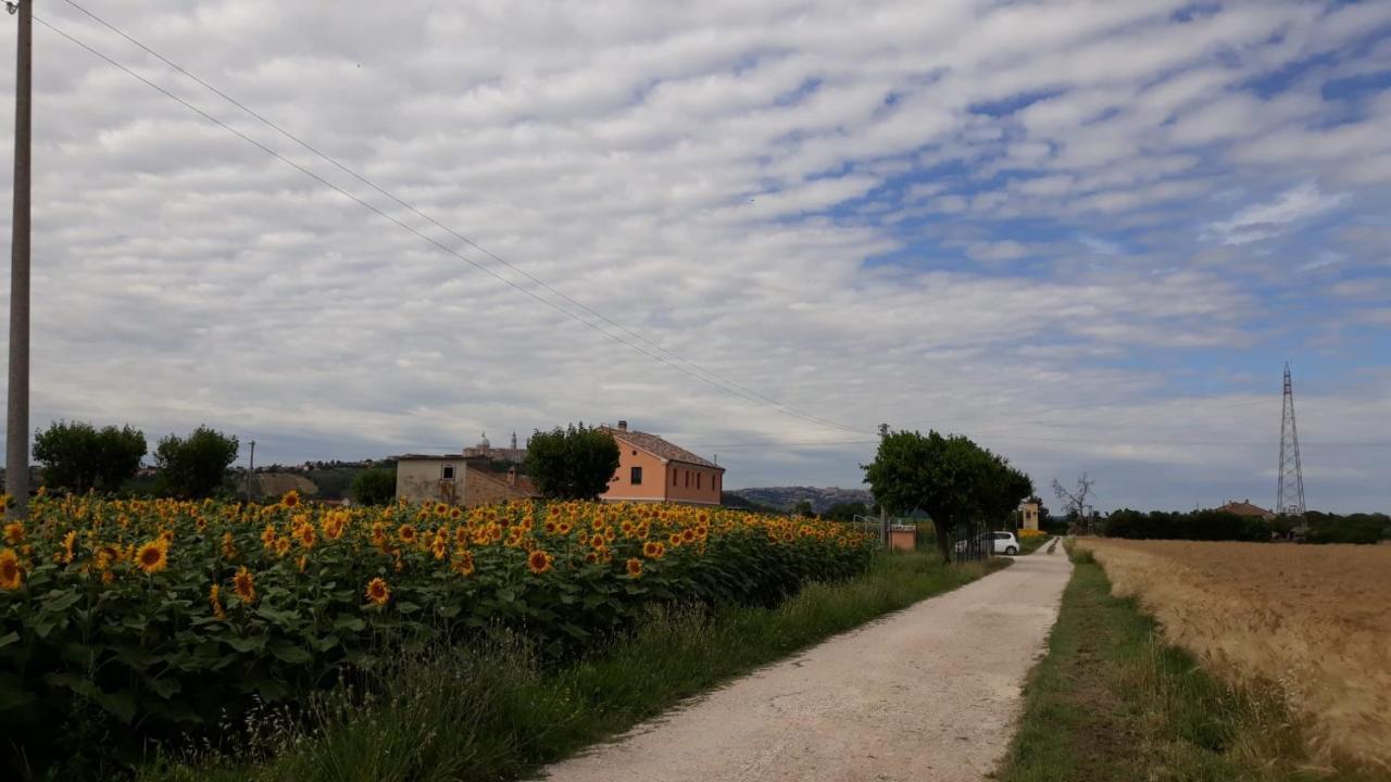 La Dolce Vita Porto Recanati Exteriör bild