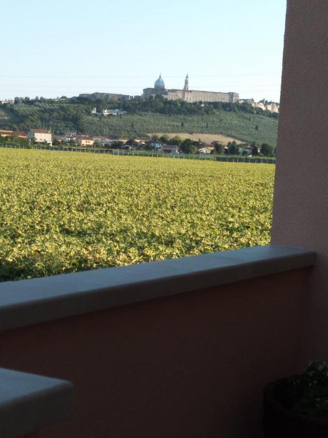 La Dolce Vita Porto Recanati Exteriör bild