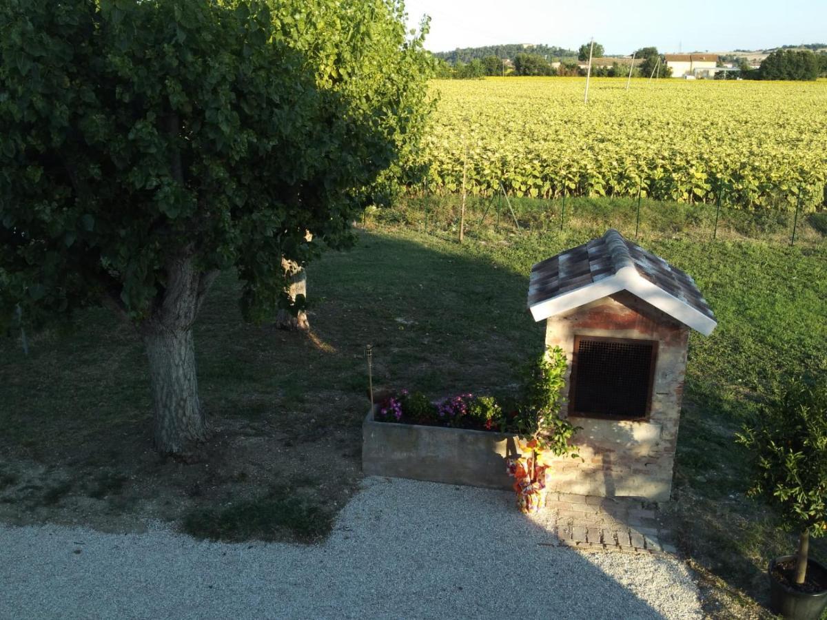 La Dolce Vita Porto Recanati Exteriör bild