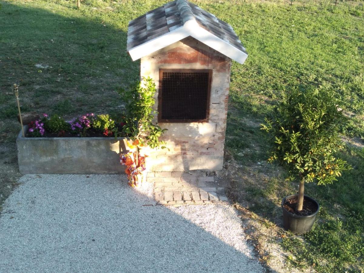 La Dolce Vita Porto Recanati Exteriör bild
