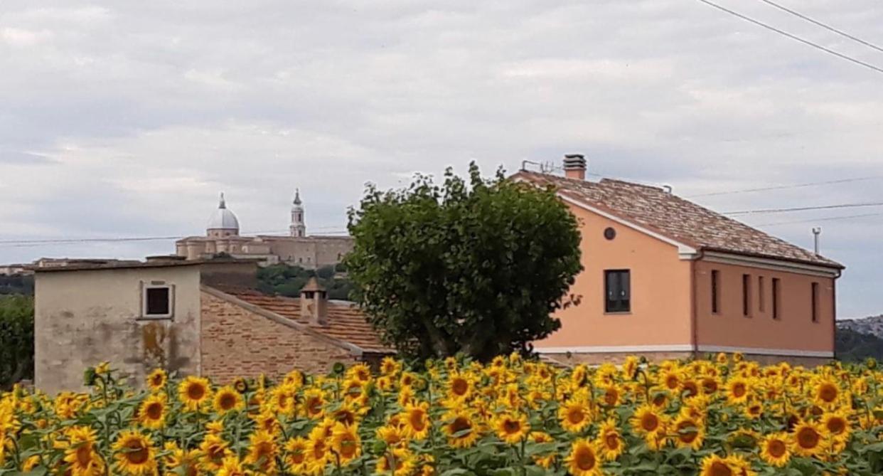 La Dolce Vita Porto Recanati Exteriör bild